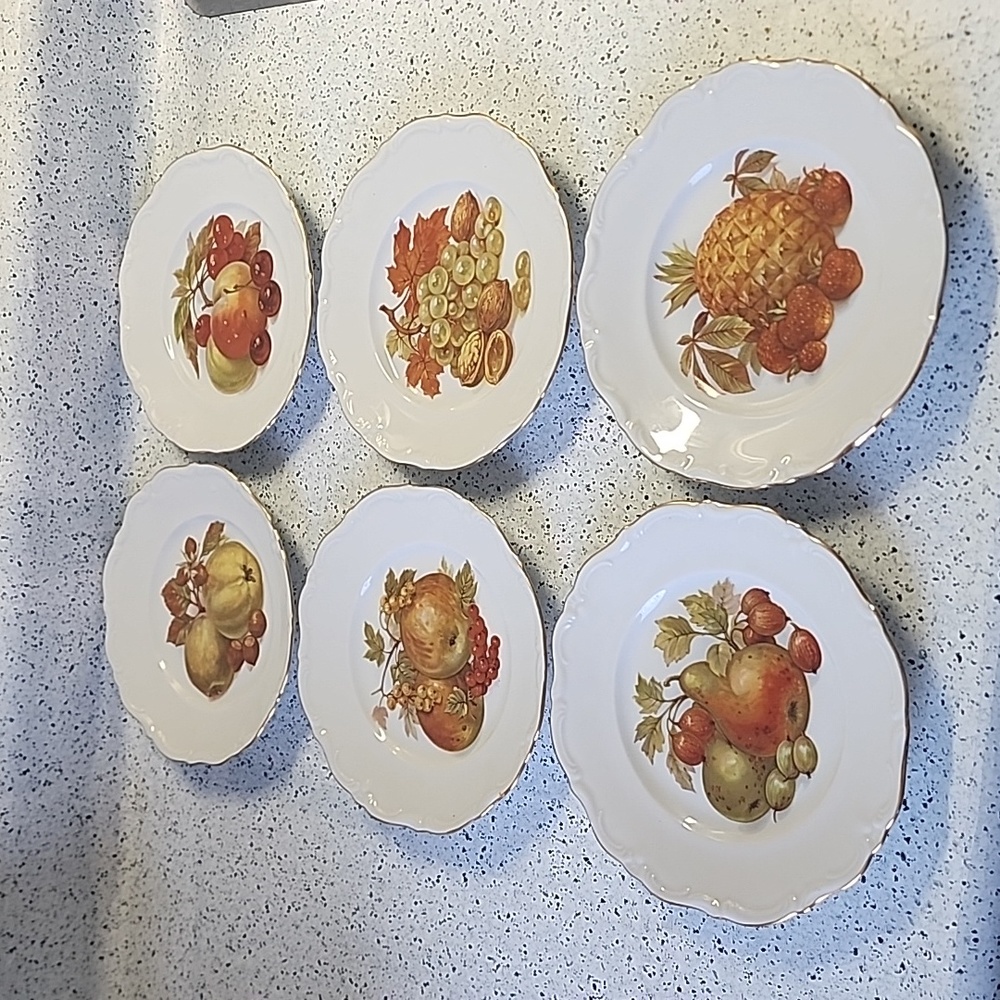 Set of 6 Vintage Fruit & Nut Salad Bread Dessert Plate Winterling Roslau Bavaria